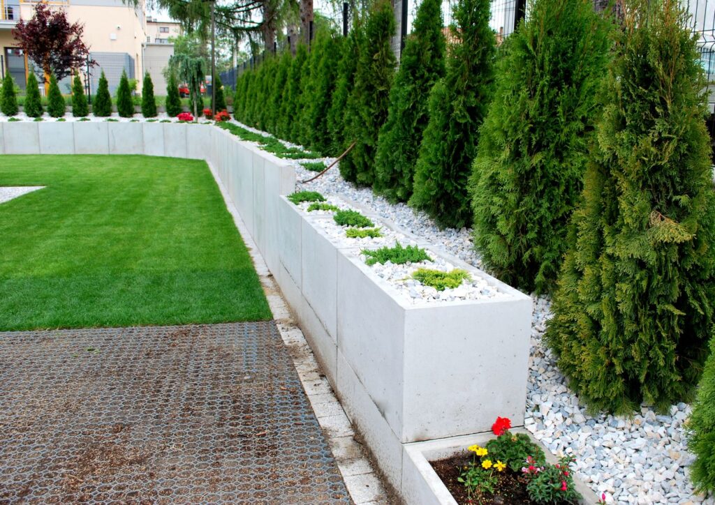 Betonowe donice wypełnione białymi kamyczkami. W donicach posadzone zielony rośliny.